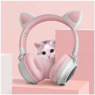 🎧