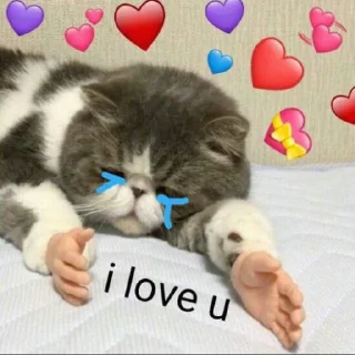 😭