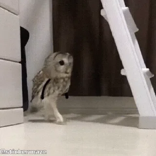 🤫