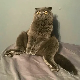 😙