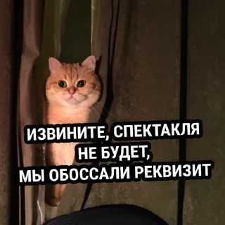 ❌