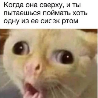 😜
