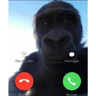 📞