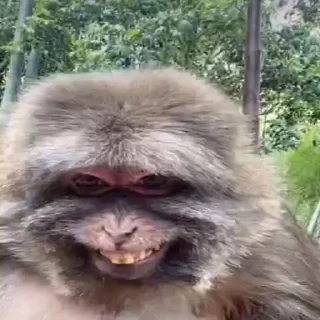 👿