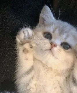 ☺️