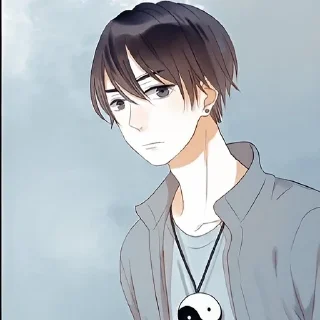 ☯️