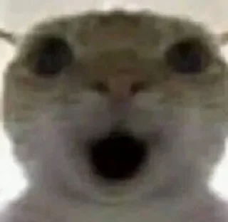 😮