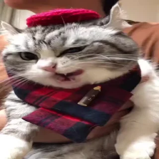 😋