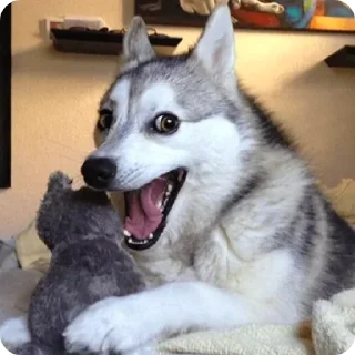😝