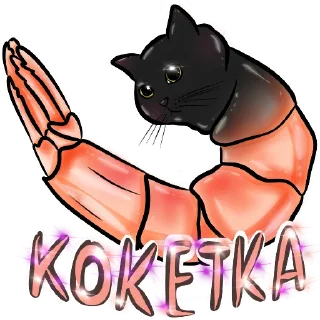 🐈‍⬛