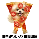 🐶
