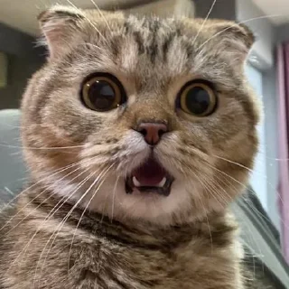 😦