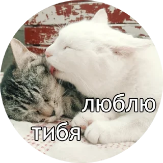 ❤️