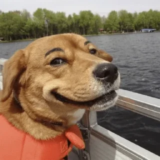 🐕
