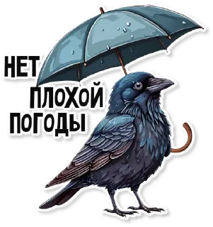 🌦