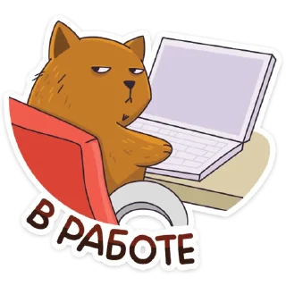 💻