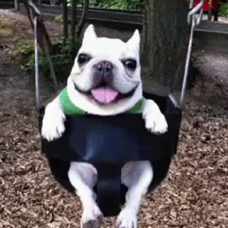 😃