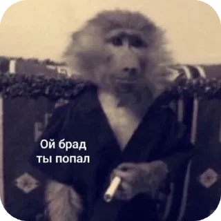 🫢
