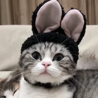 🫣