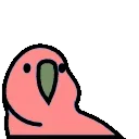 🦜