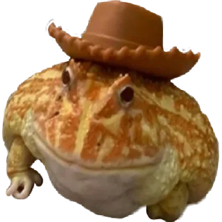 🤠