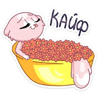 😊