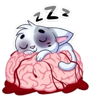 💤