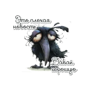 🐦‍⬛️