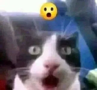 😮