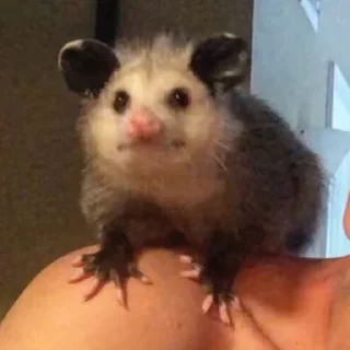 😐