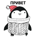 🐧
