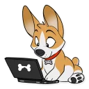 💻