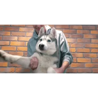 👍