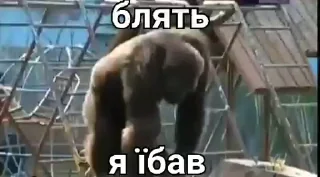 🙊