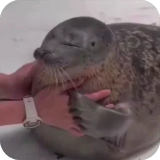 🥰