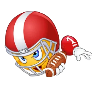 🏈