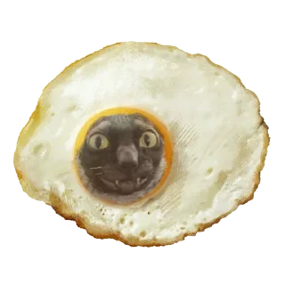 🍳