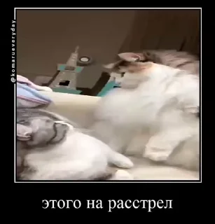 👹
