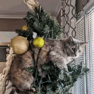 🎄