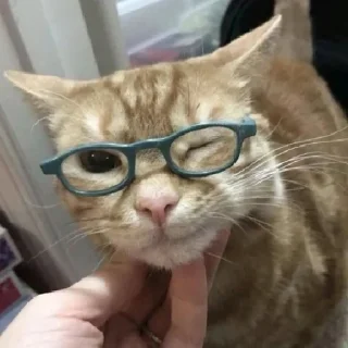 😉