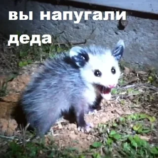 😵
