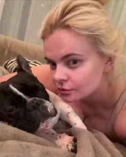 🐶