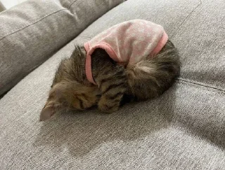 😩
