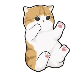 🐱