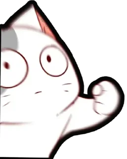 🐈