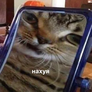🤔