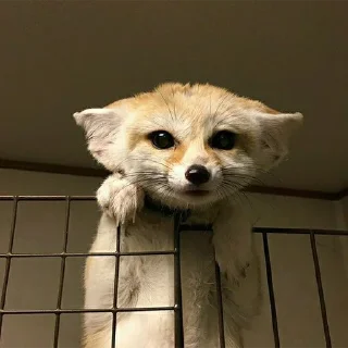 🙂