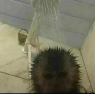 🚿
