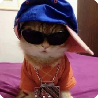 😎