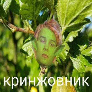 🤢